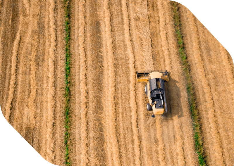 A tradição e o legado